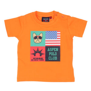 Aspen Polo Club - T-shirt