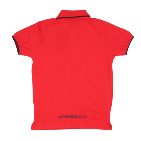Aspen Polo Club - Polo - Image 2